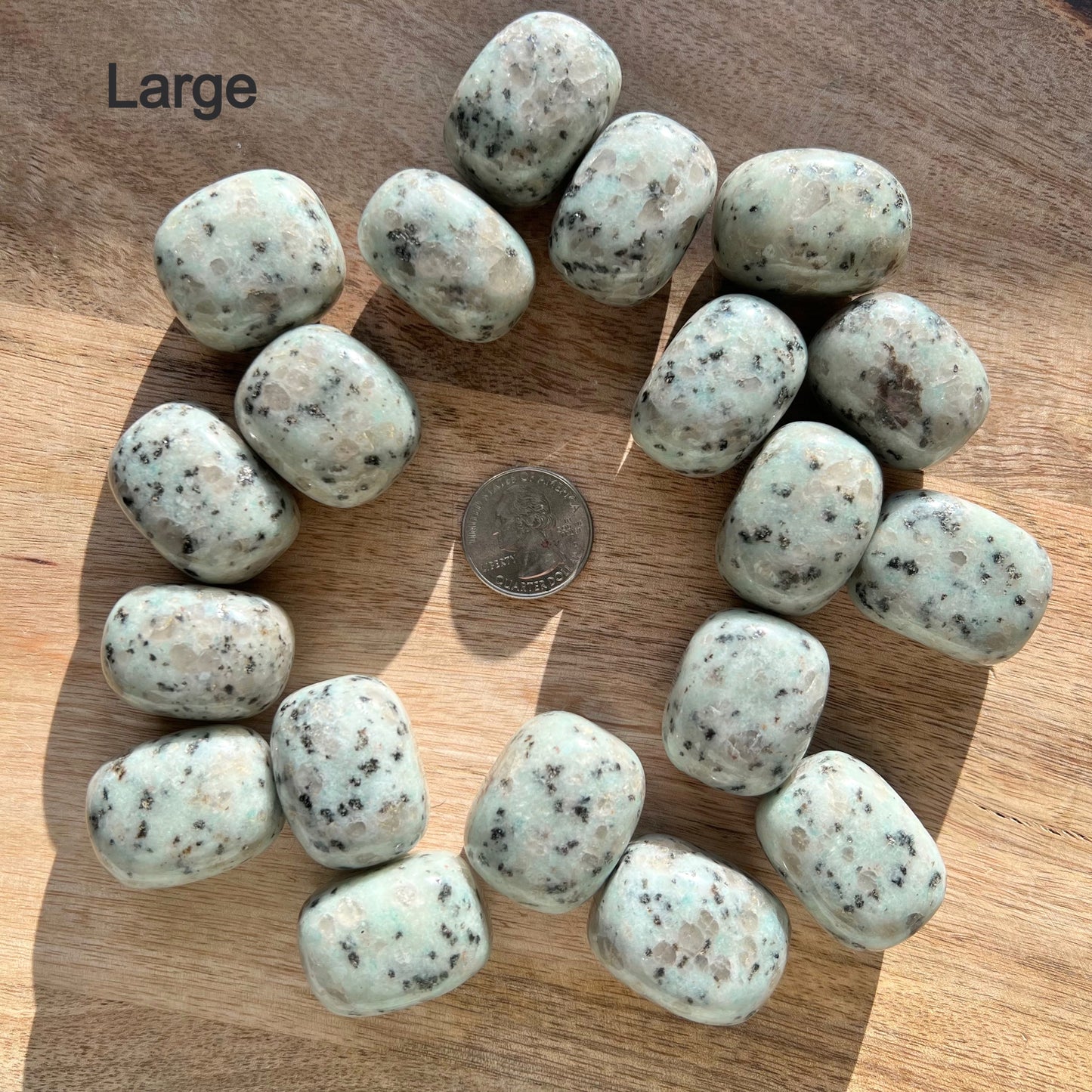 Kiwi Jasper Tumble