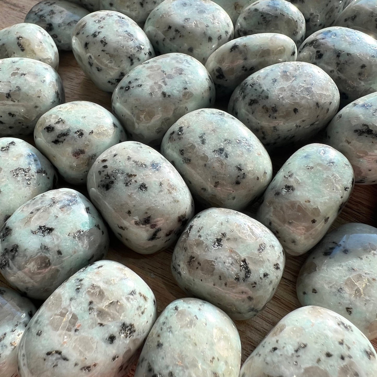 Kiwi Jasper Tumble