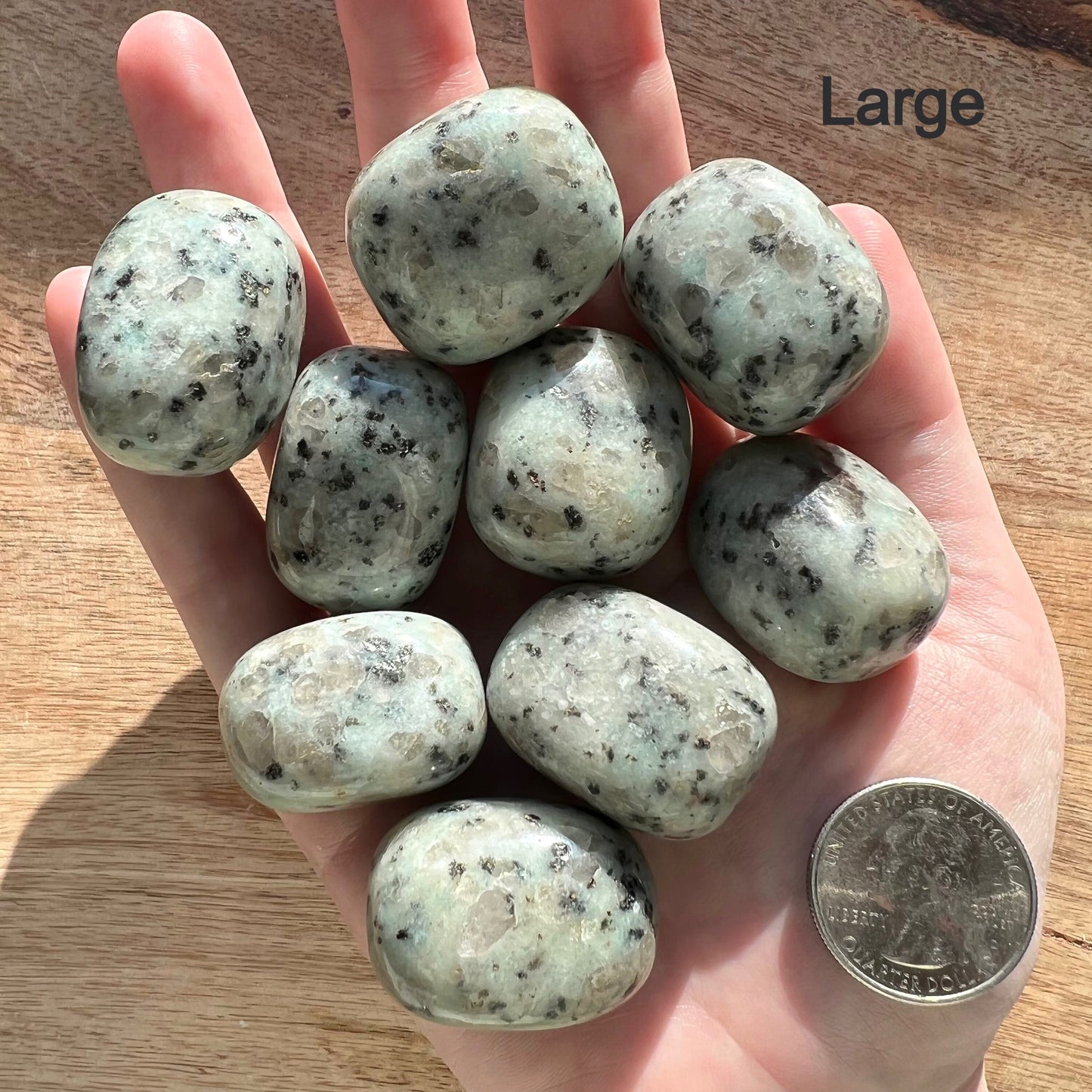 Kiwi Jasper Tumble