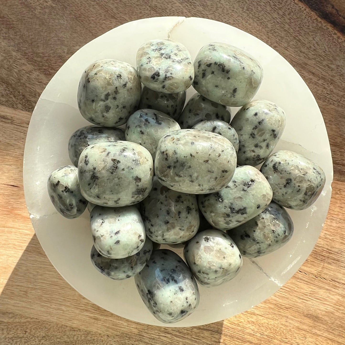 Kiwi Jasper Tumble