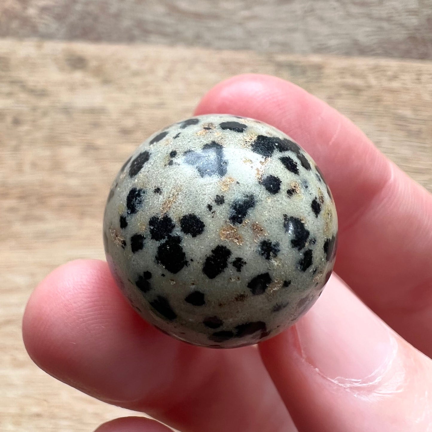 Dalmatian Jasper Mini Sphere