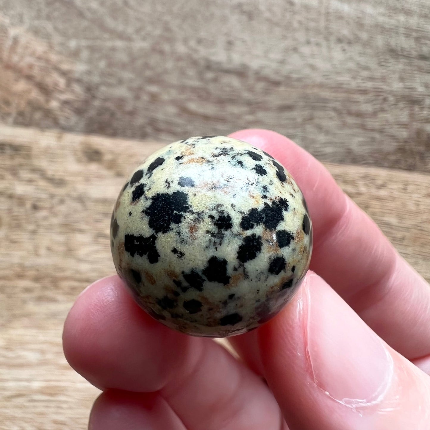 Dalmatian Jasper Mini Sphere