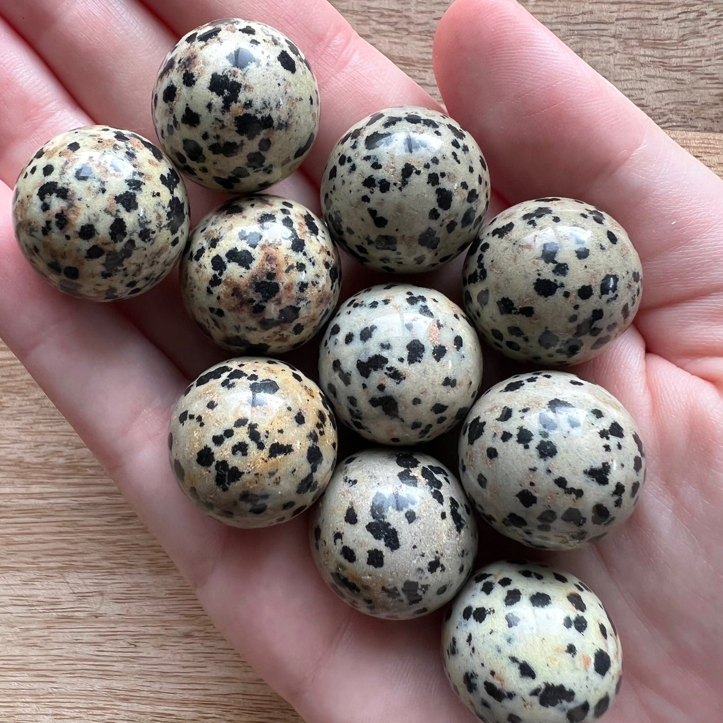 Dalmatian Jasper Mini Sphere