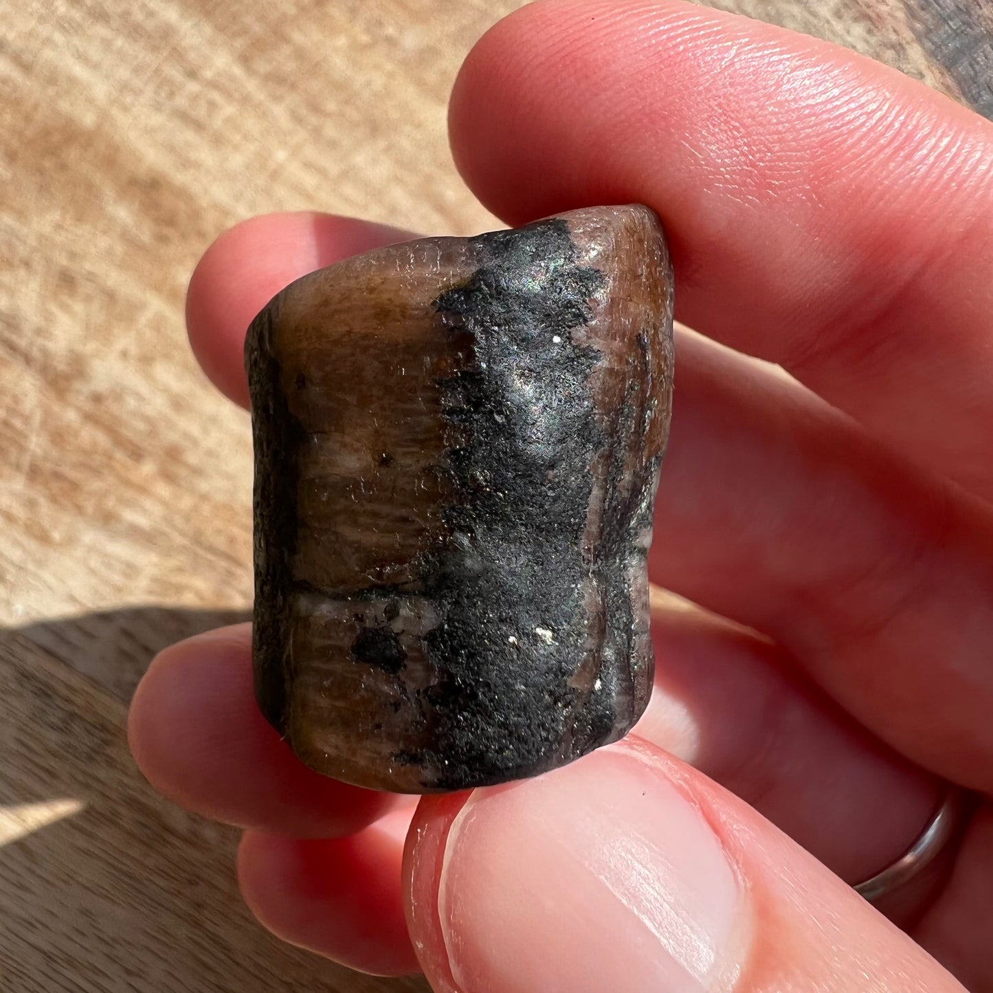 Chiastolite Tumble