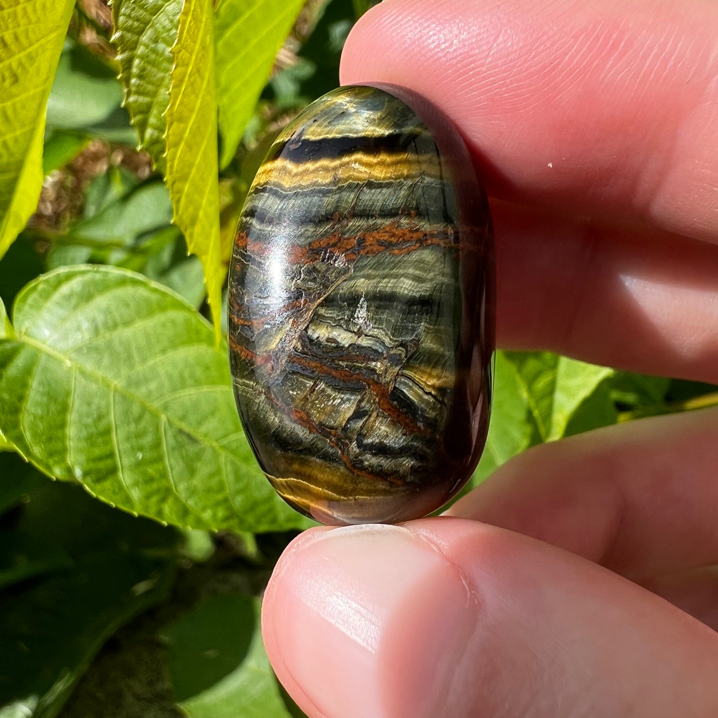 Blue Tigers Eye Tumble