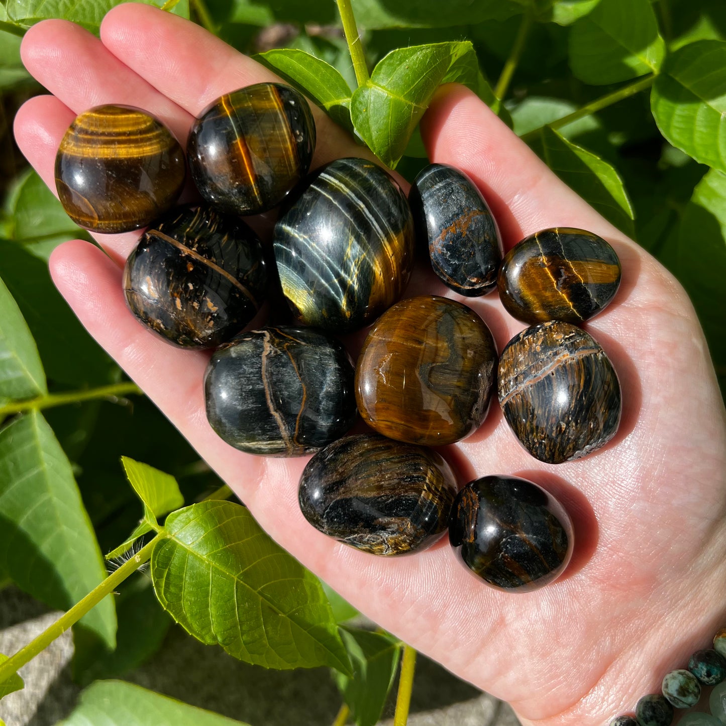 Blue Tigers Eye Tumble