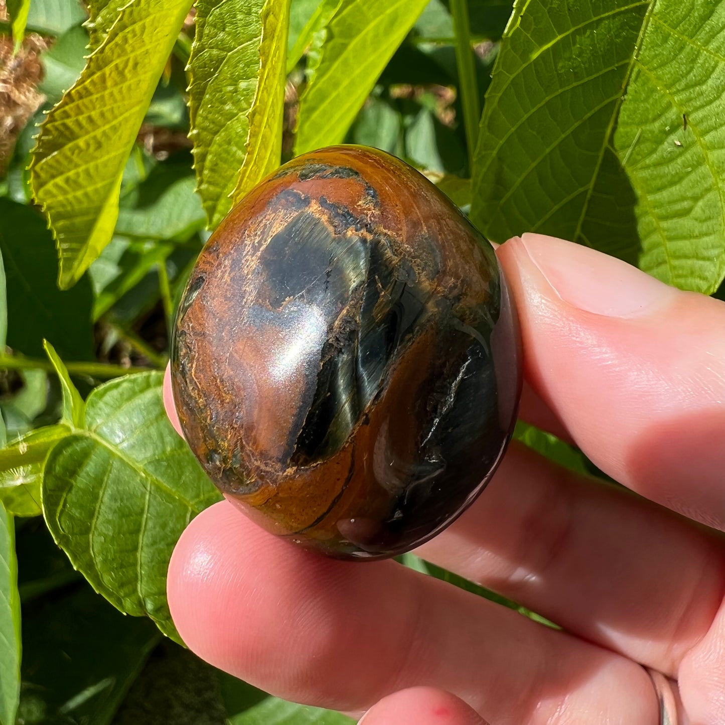 Blue Tigers Eye Tumble