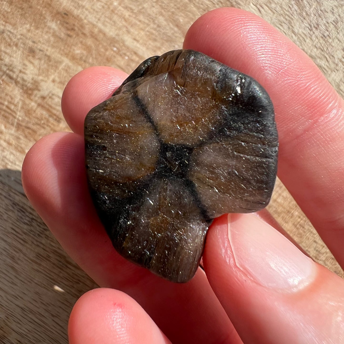 Chiastolite Tumble