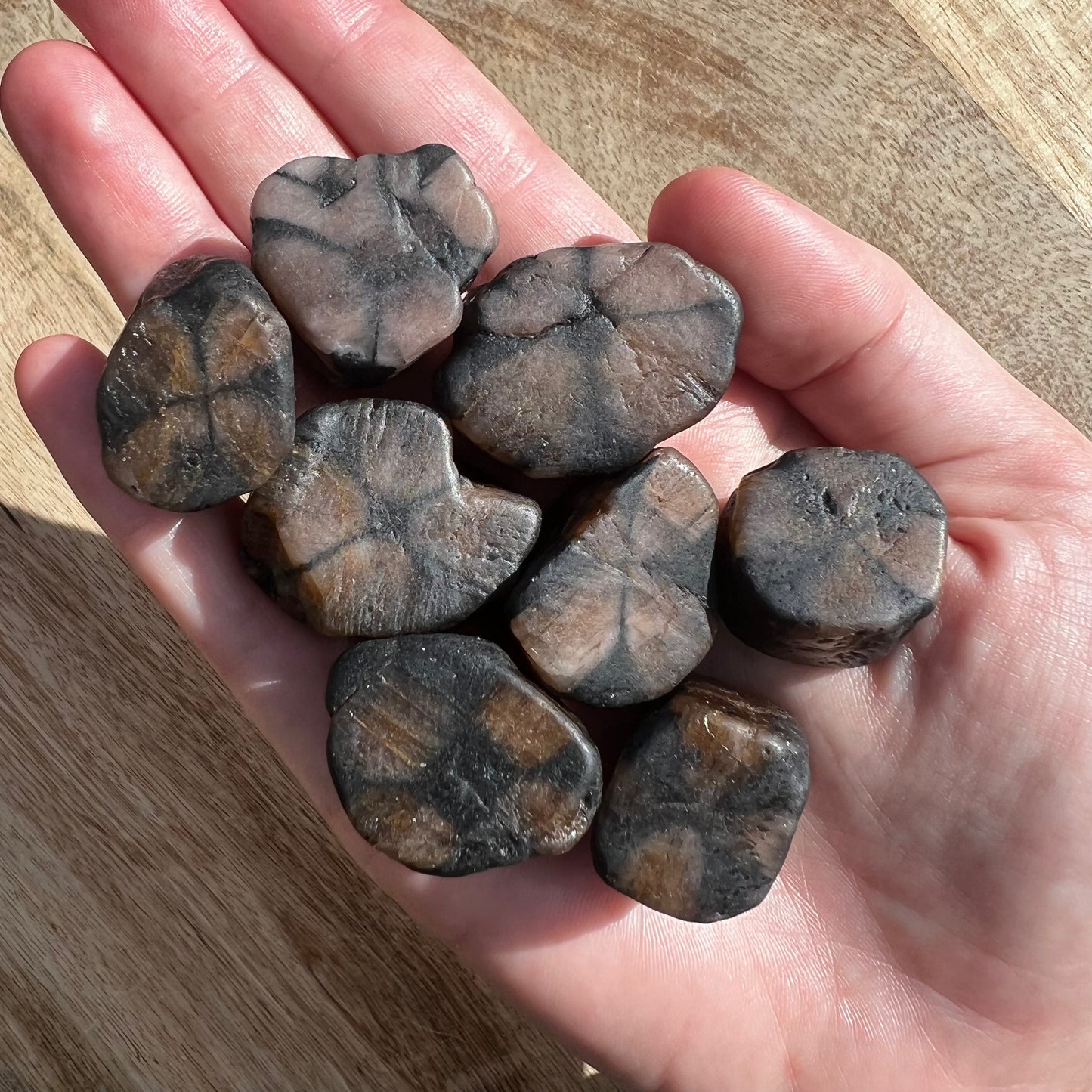 Chiastolite Tumble