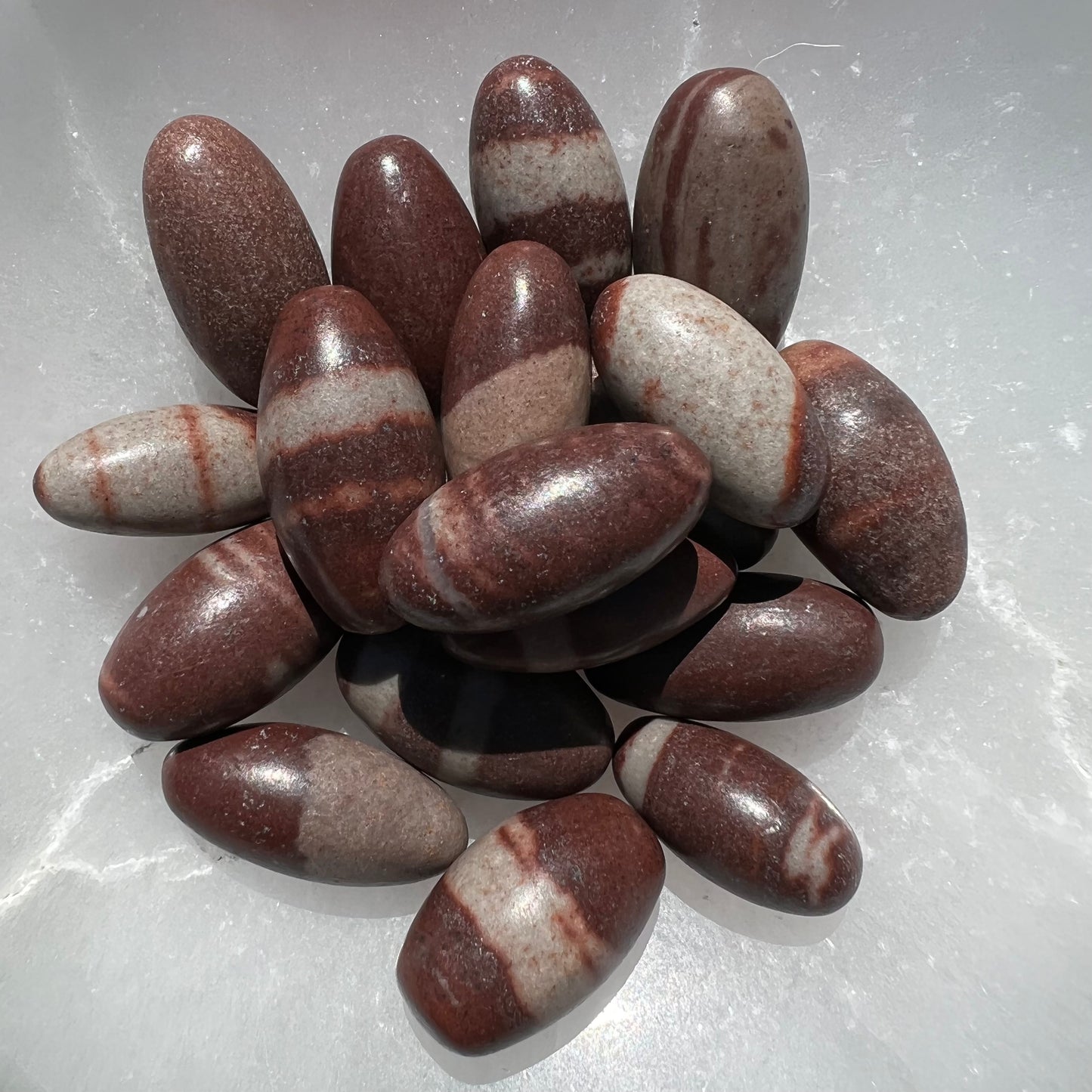 Shiva Lignum Tumble