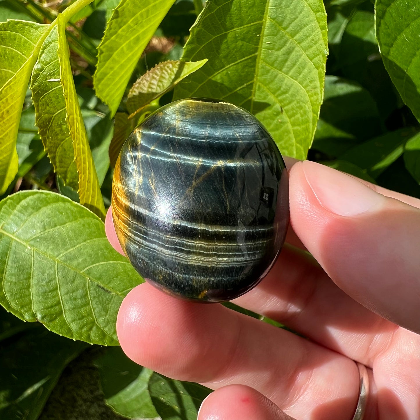 Blue Tigers Eye Tumble