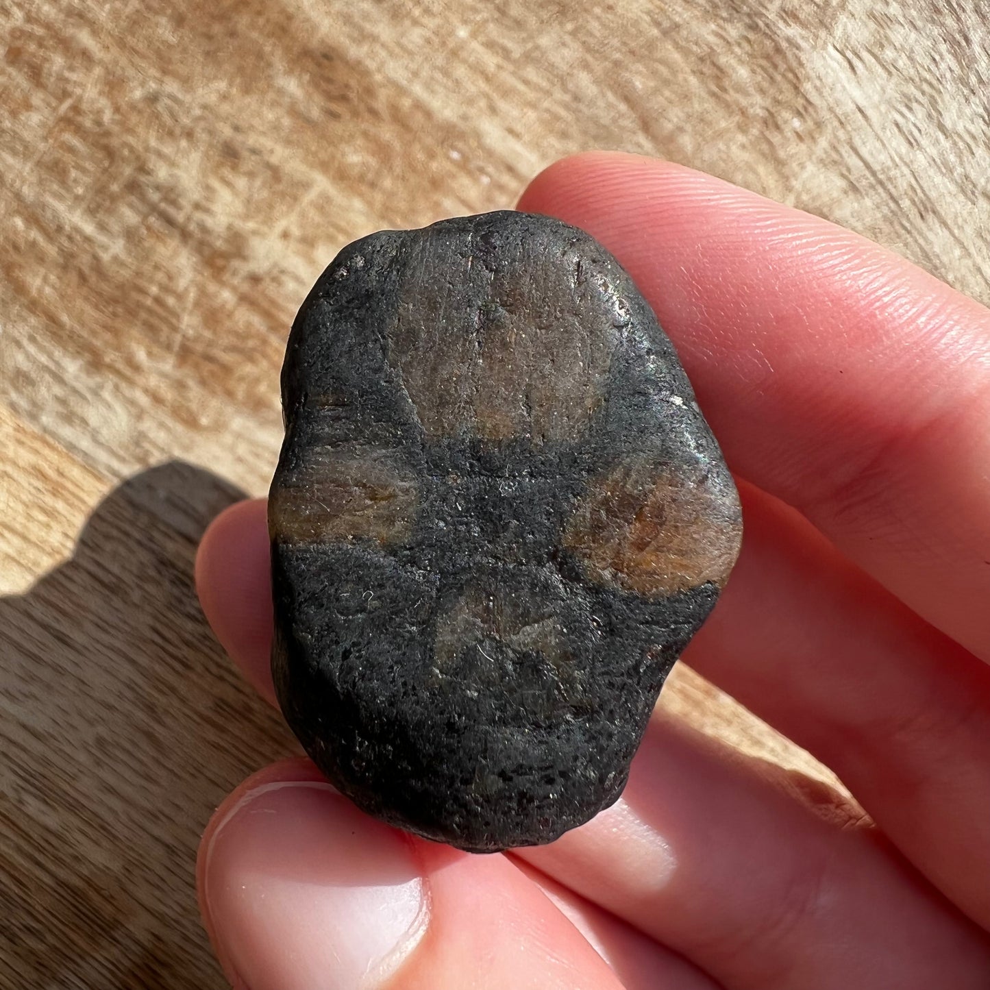 Chiastolite Tumble