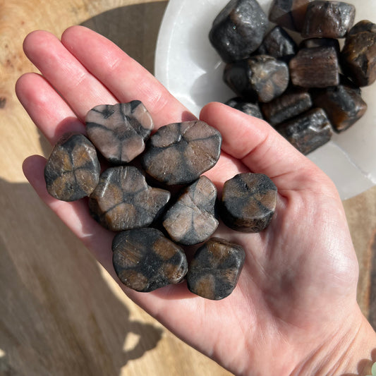 Chiastolite Tumble
