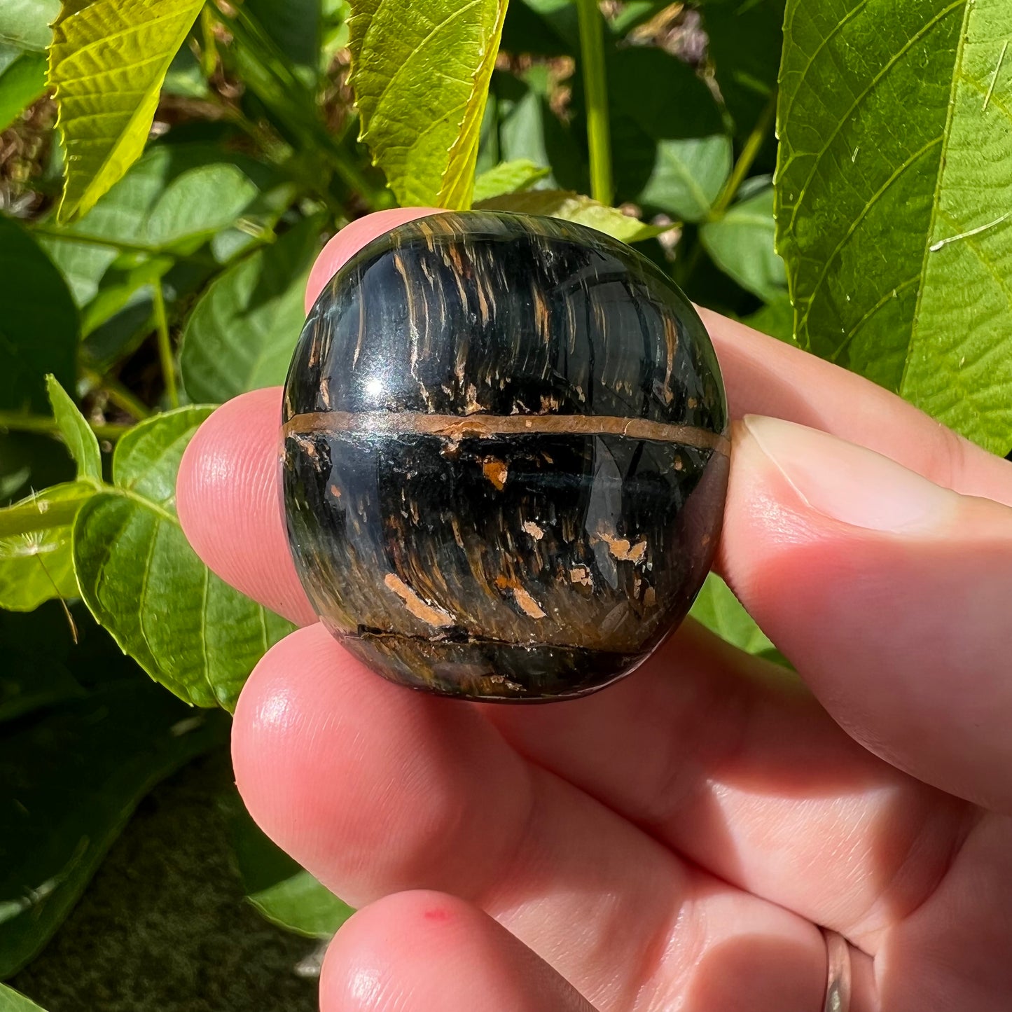 Blue Tigers Eye Tumble