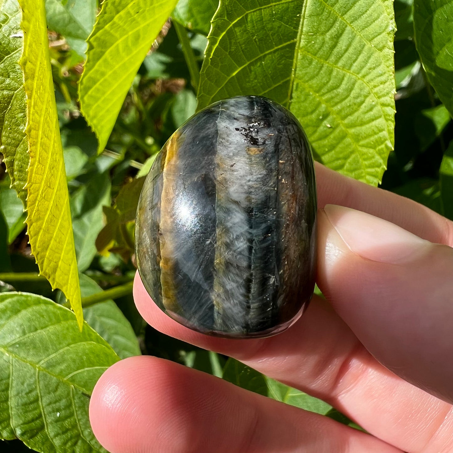 Blue Tigers Eye Tumble