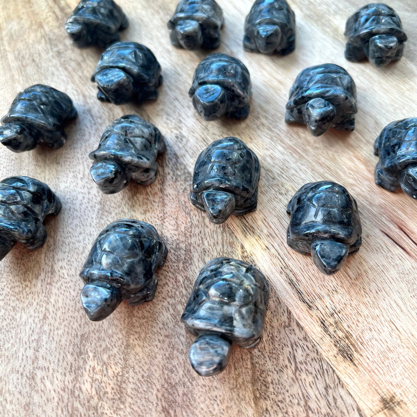 Larvikite Turtle Carving