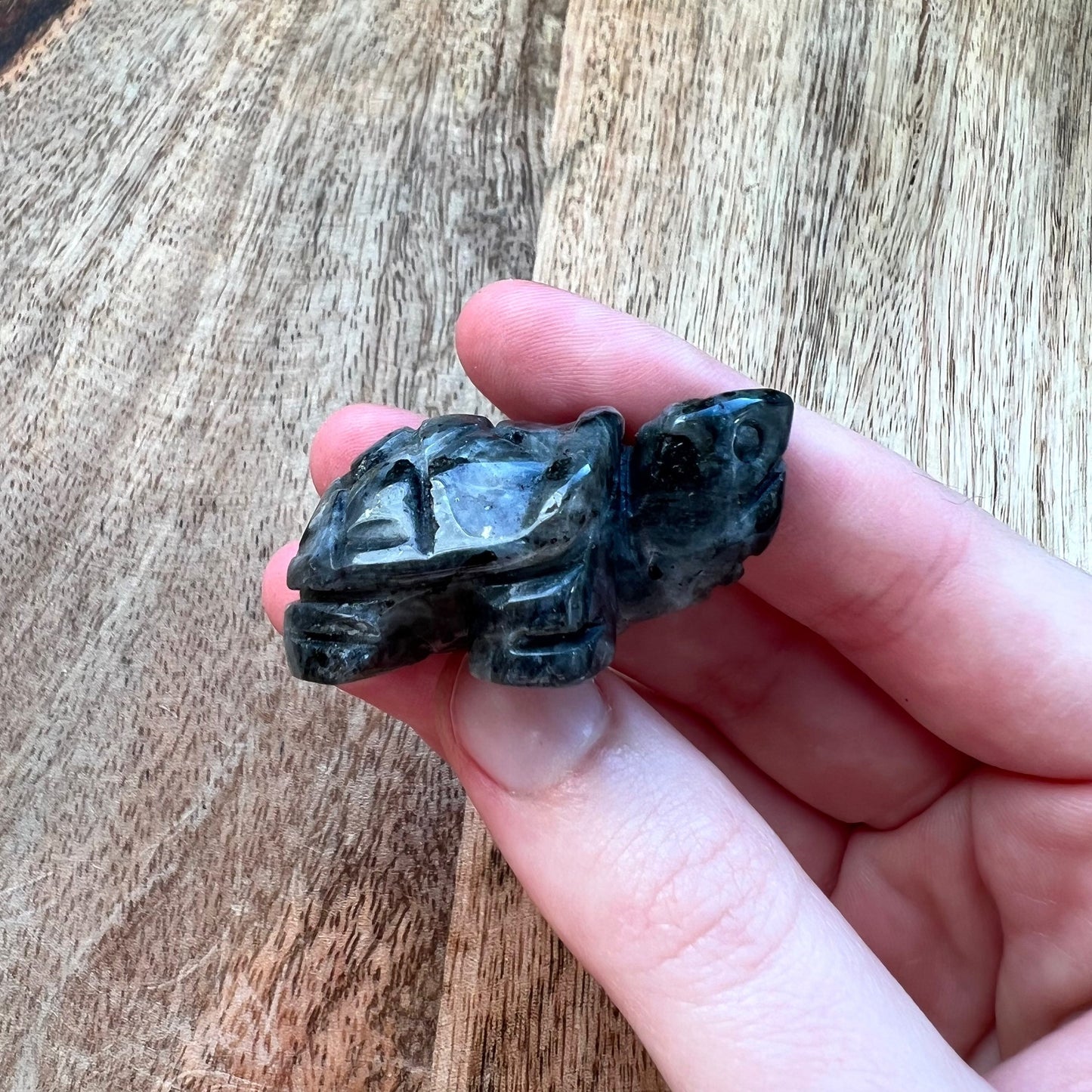Larvikite Turtle Carving