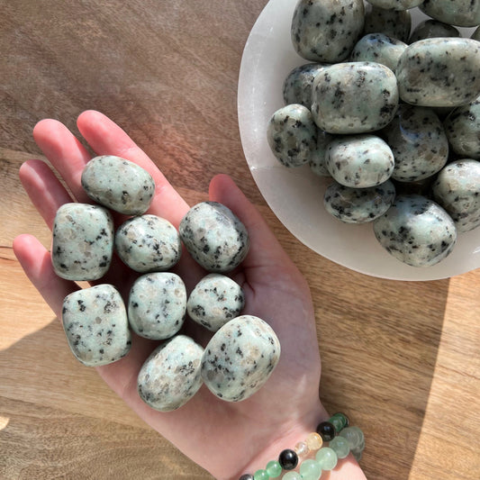 Kiwi Jasper Tumble